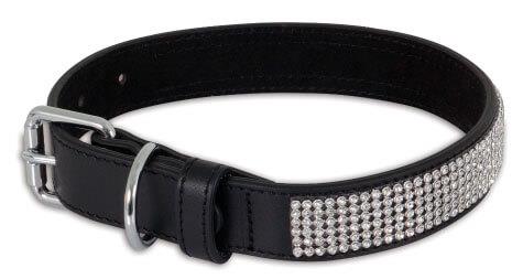 Dog Collars & Leashes - Collars